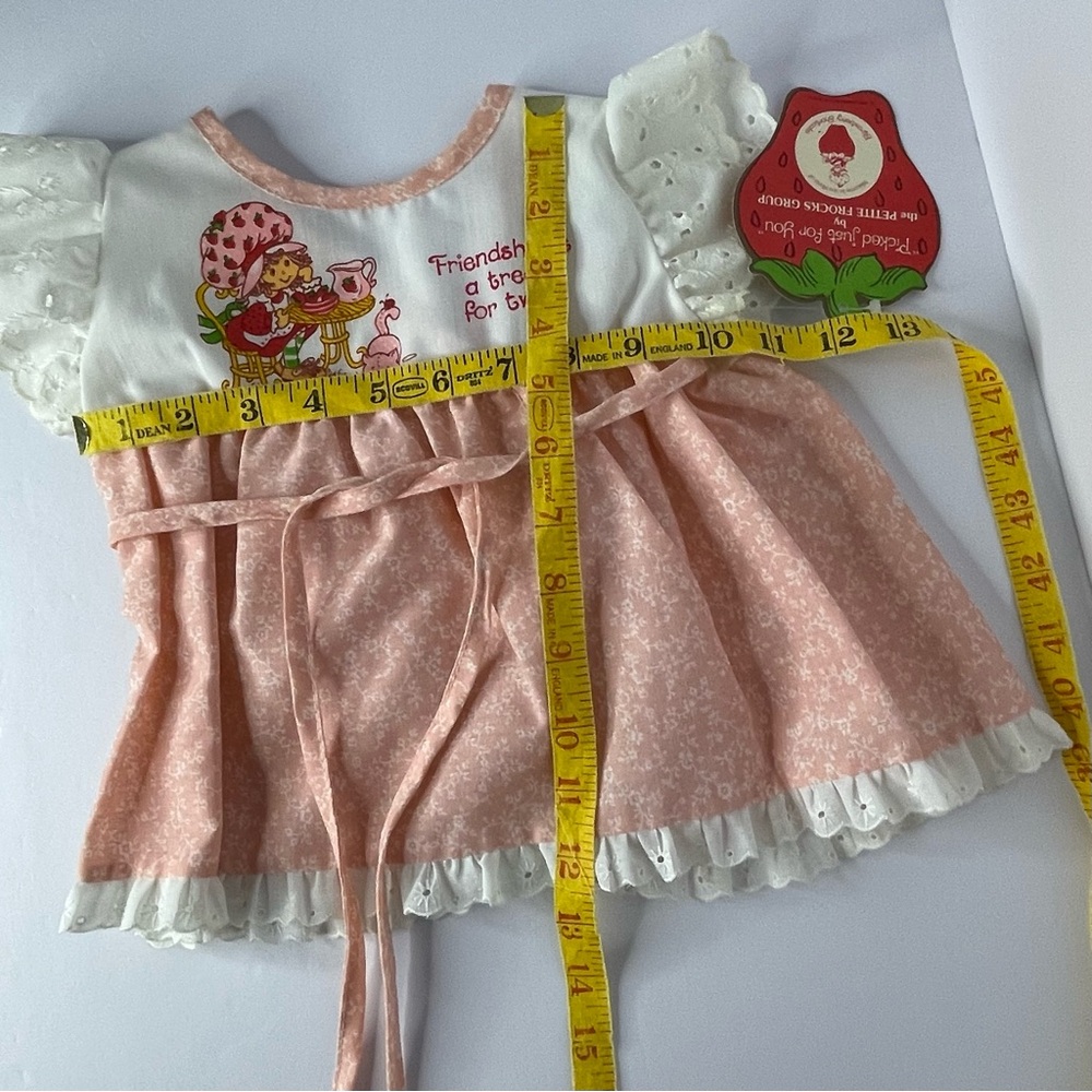 Strawberry Shortcake And Custard Outfit 1980 AMERICAN GREETINGS CORP Union 6M - Picture 15 of 16